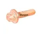 PARAFUSO SEXTAVADO M8X30 - VOLKSWAGEN - 07W109177