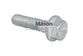 PARAFUSO SEXTAVADO M10X40-10.9 - VOLKSWAGEN - 07W019873BS